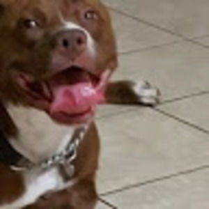 Meet your Posher, Jarret